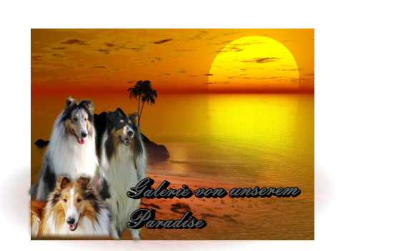 Galerie von unserem Paradise