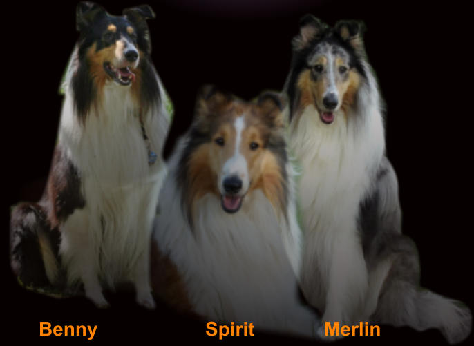 Benny Spirit Merlin